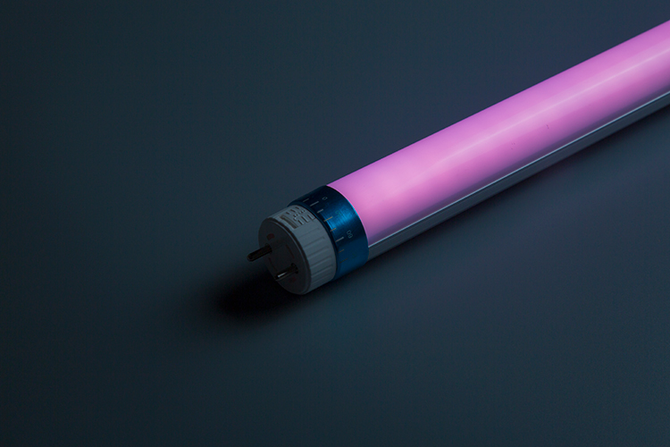 Pink plant LED tube