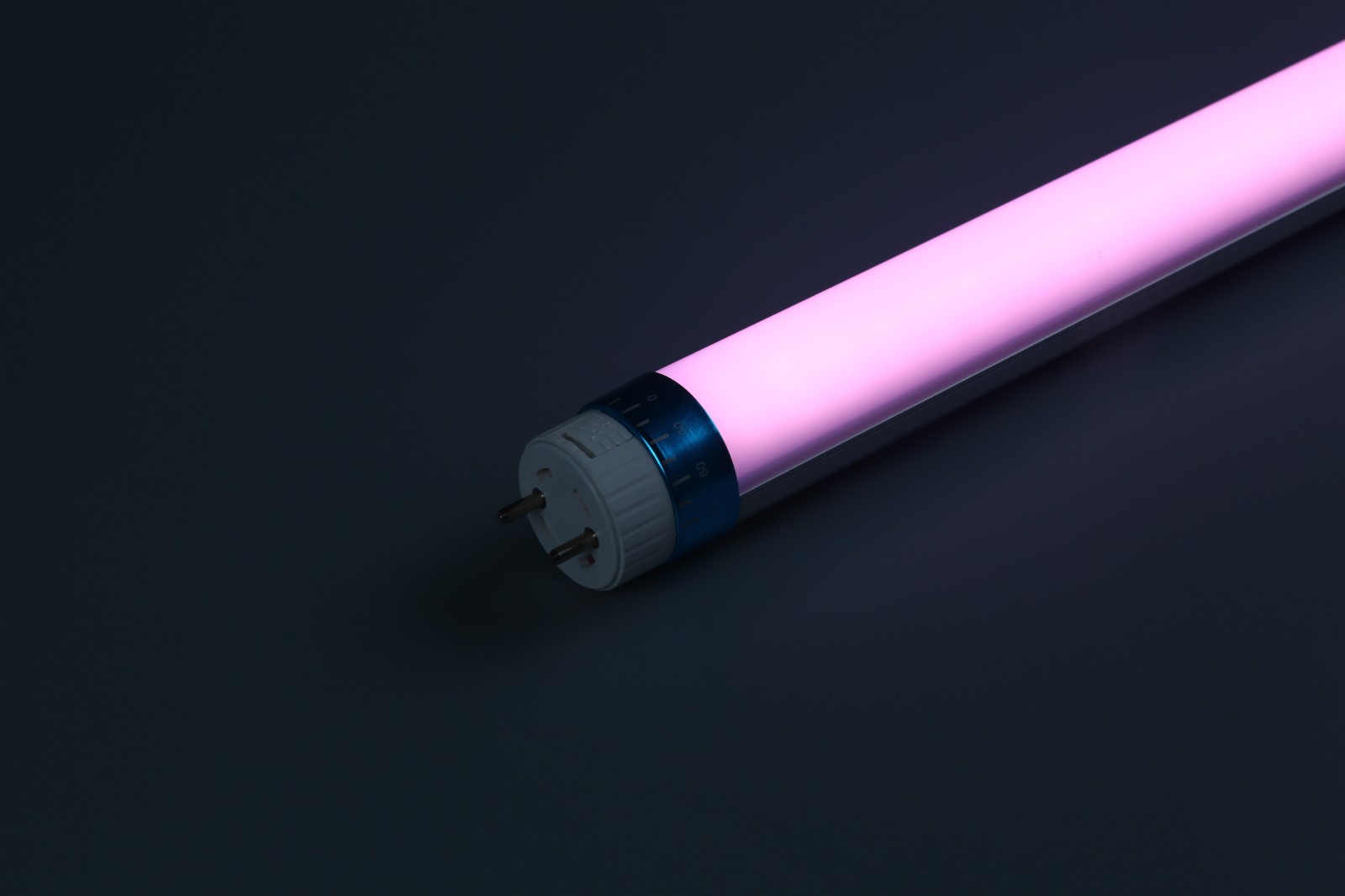 Pink led tube for meat and fish